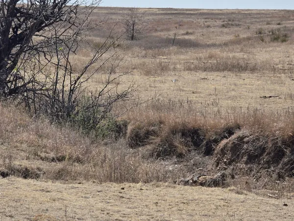 $1,097,250 | 573 Blk 43, Perryton, TX 79070