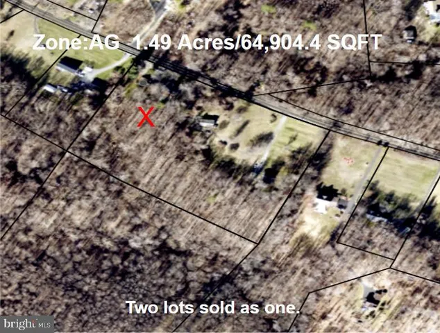 a view of a lush green forest