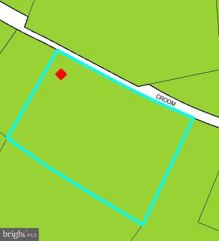 a view of a tree with a park