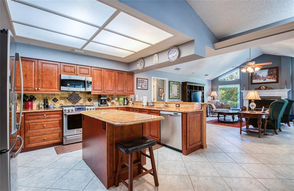 4901 Hallstead Way Tampa, FL 33647 - Photo 14 of 47 a kitchen with lots of counter top space and appliances