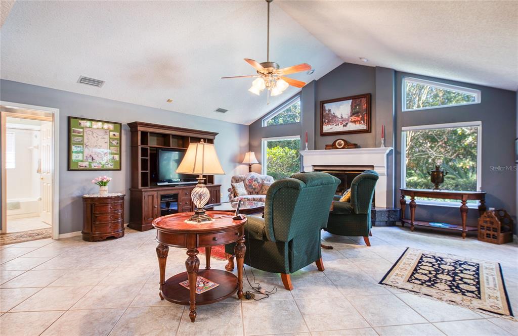 4901 Hallstead Way Tampa, FL 33647 - Photo 18 of 47 a living room with furniture a window and a fireplace