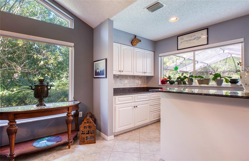 4901 Hallstead Way Tampa, FL 33647 - Photo 22 of 47 a kitchen that has a sink and a stove in it