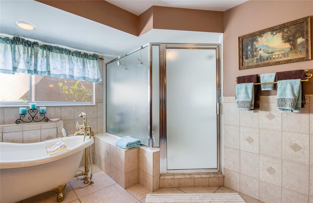 4901 Hallstead Way Tampa, FL 33647 - Photo 26 of 47 a bathroom with a bathtub and a shower