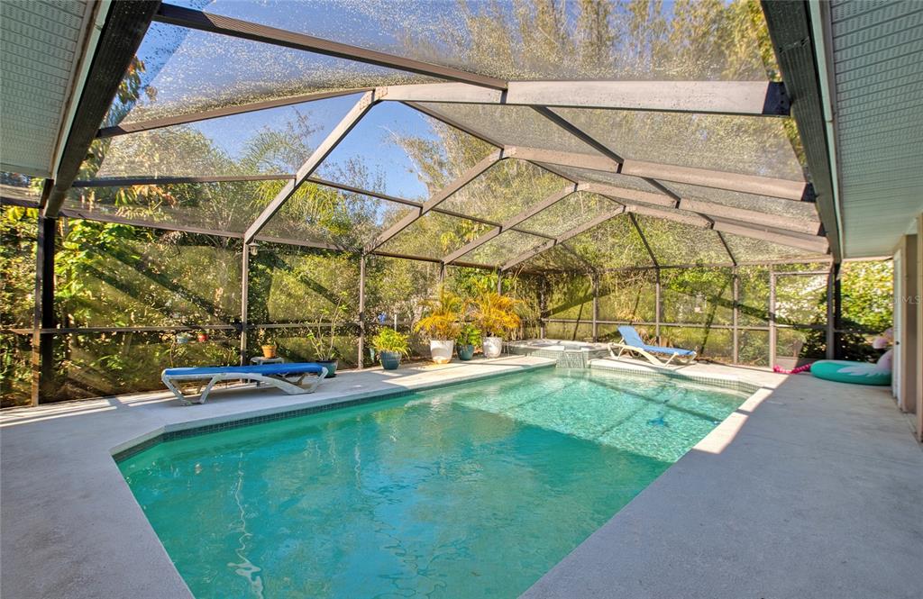 4901 Hallstead Way Tampa, FL 33647 - Photo 45 of 47 a view of yard with swimming pool