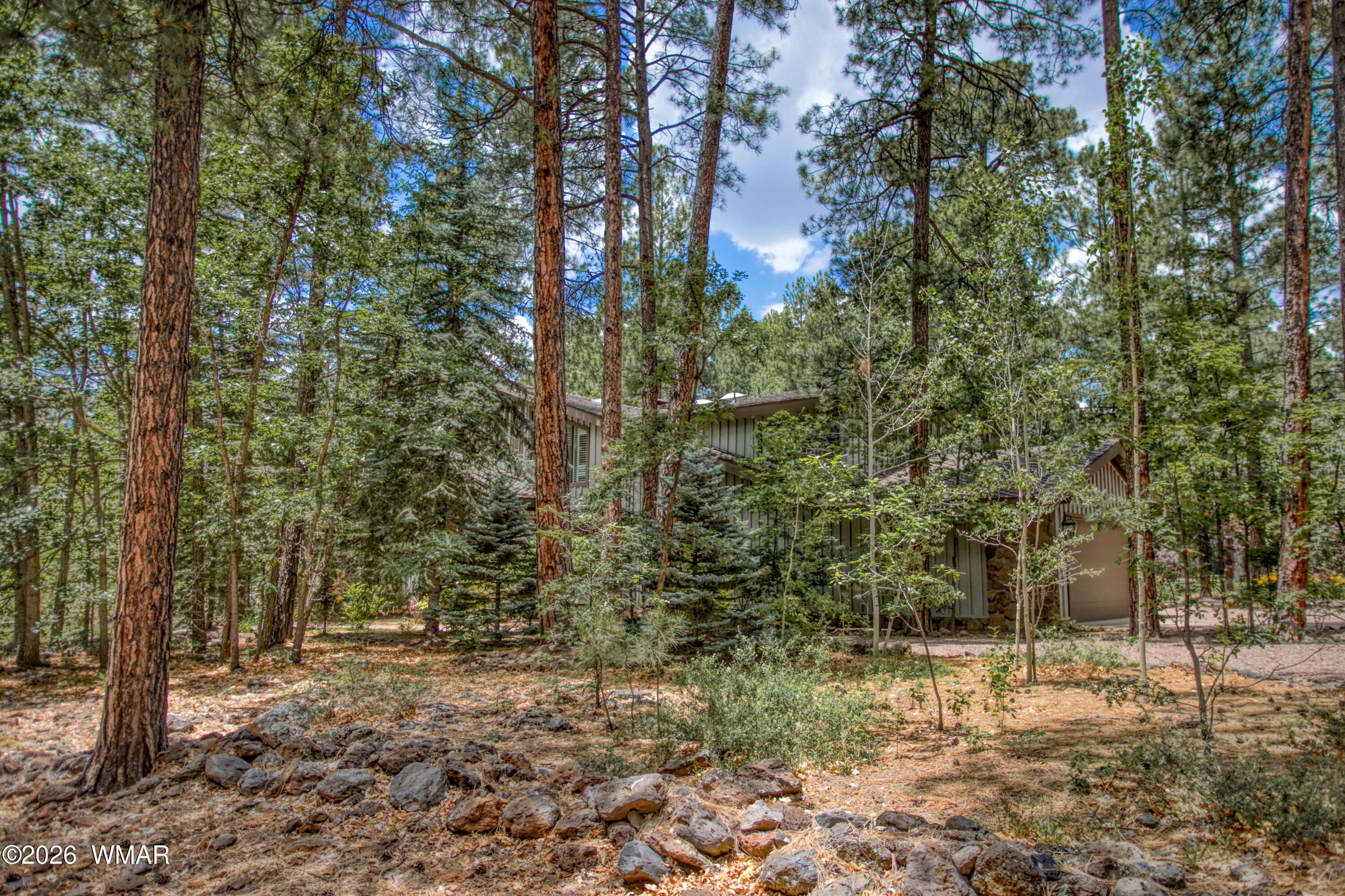 3280 Red Robin Road Pinetop, AZ 85935 - Photo 46 of 64