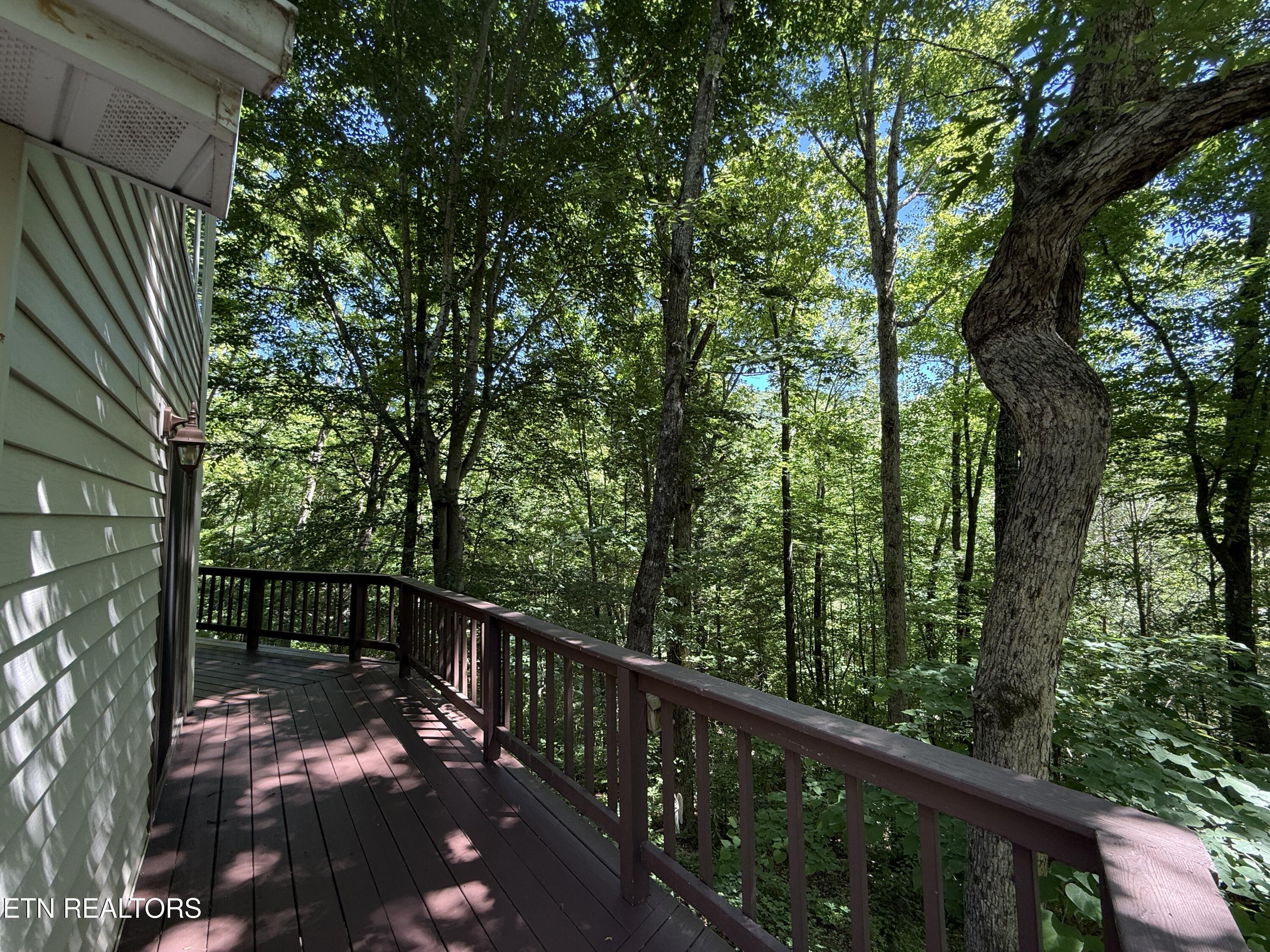 4039 Barb Hollow Road Walland, TN 37886 - Photo 38 of 46 Deck1