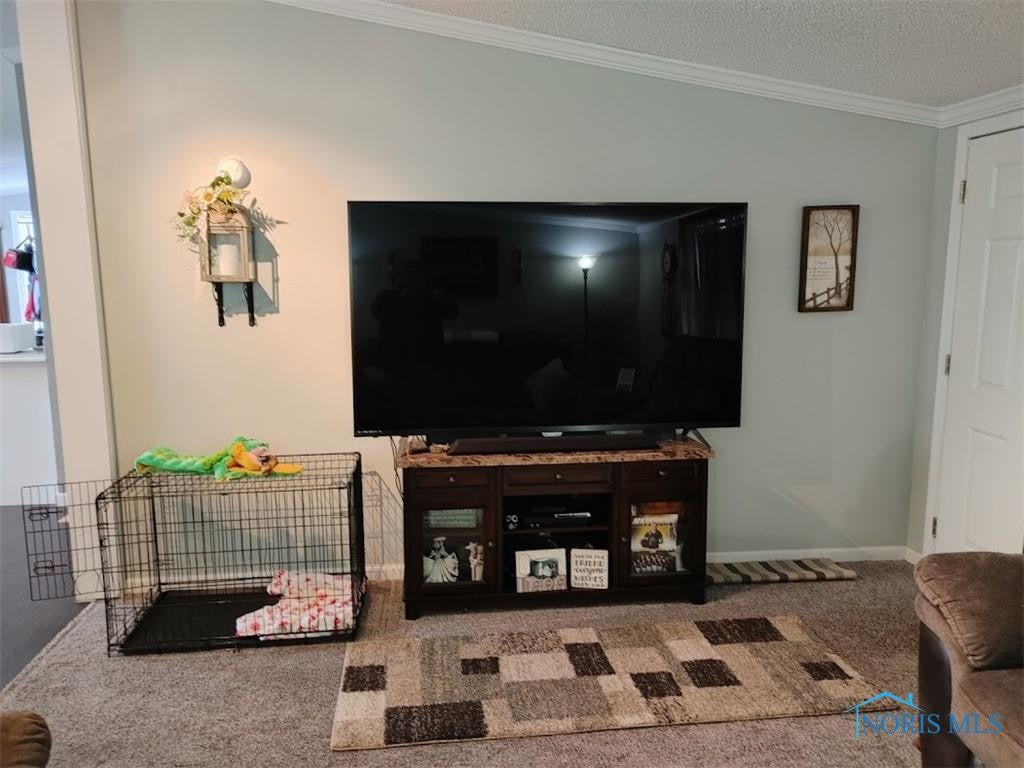 230 Reed Street McClure, OH 43534 - Photo 13 of 50 Gallery Image 13