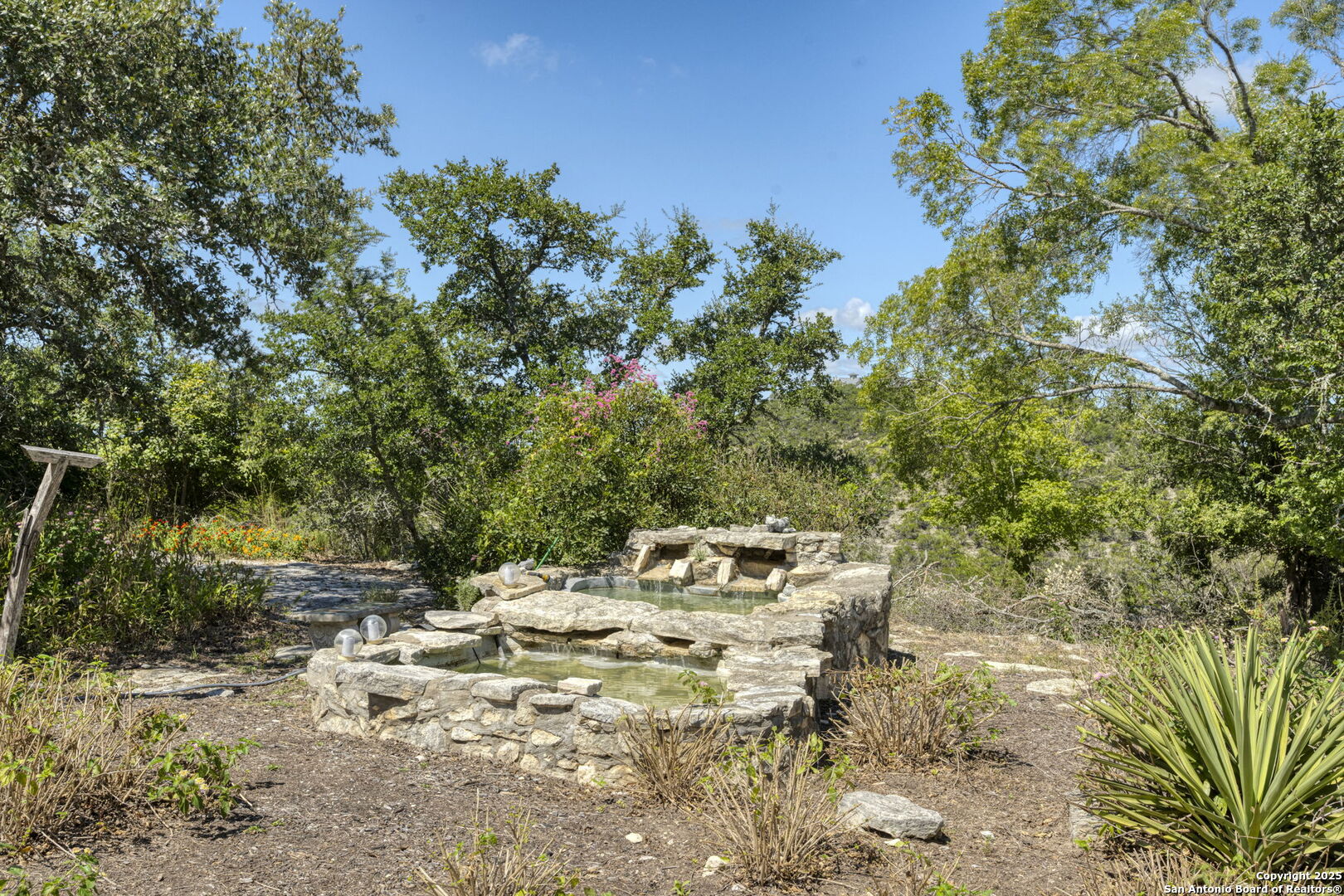 305 Spanish Pass Road Boerne, TX 78006 - Photo 34 of 105 a view of a yard with plants and tree