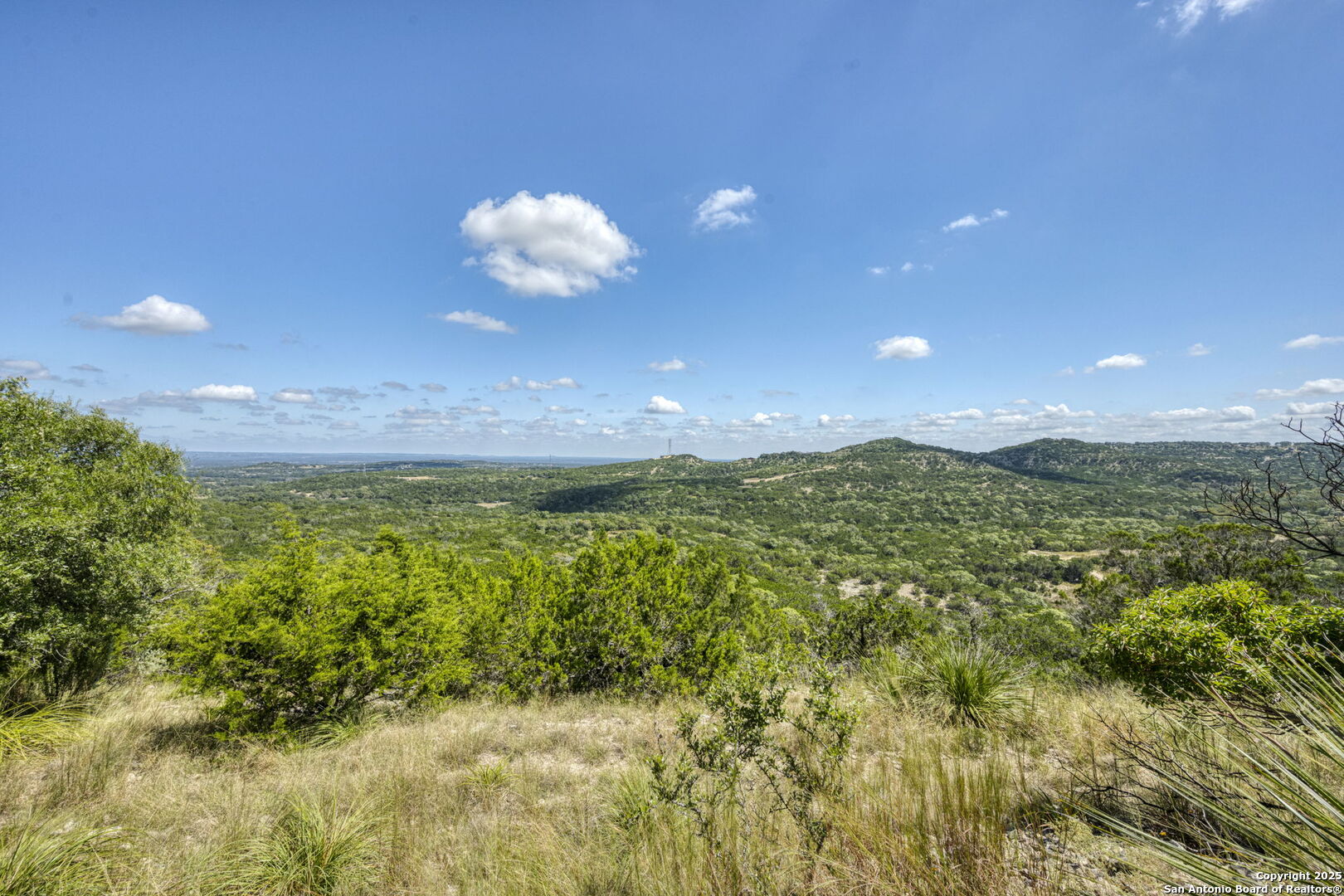 305 Spanish Pass Road Boerne, TX 78006 - Photo 40 of 105 a view of a bunch of trees in a yard