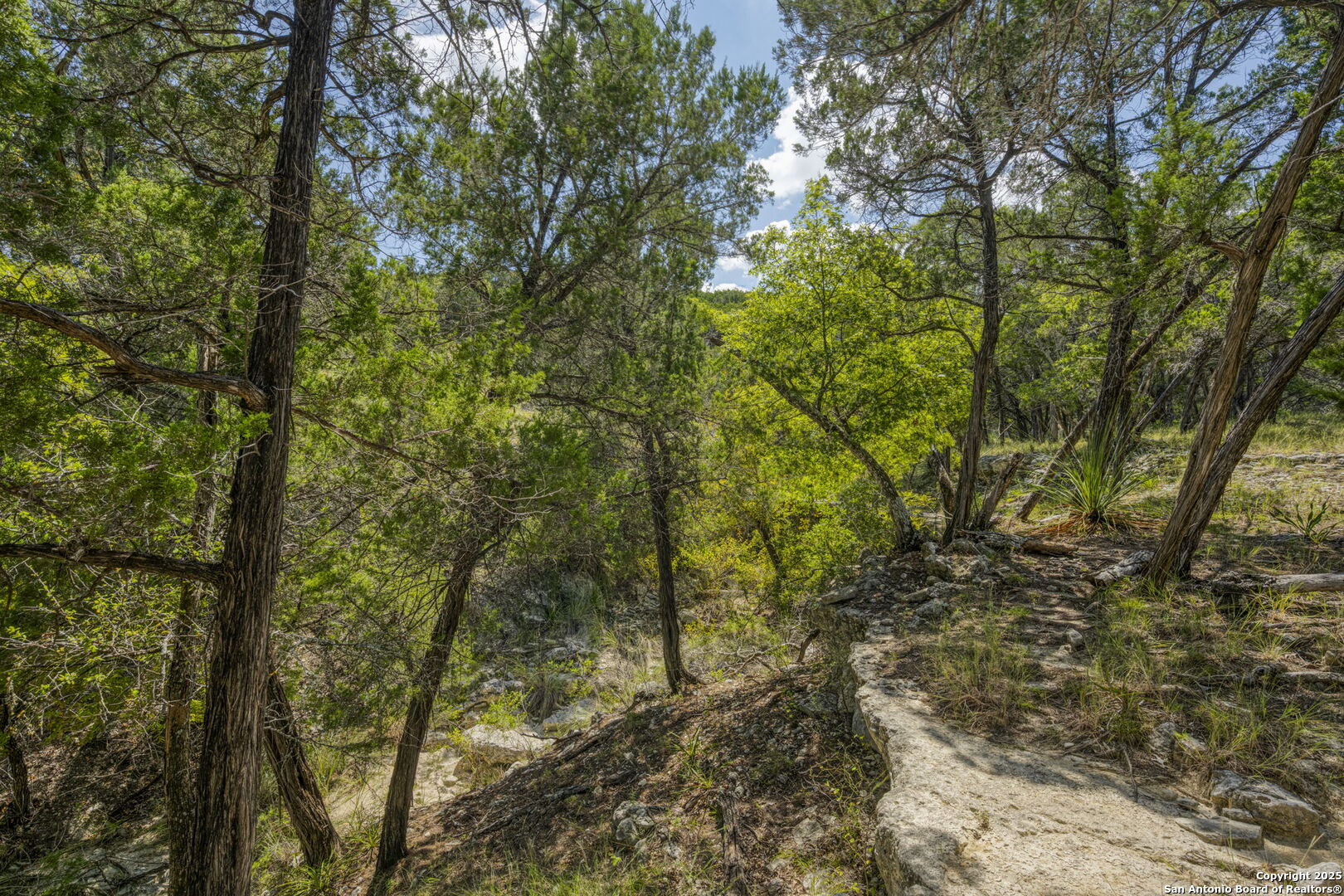 305 Spanish Pass Road Boerne, TX 78006 - Photo 52 of 105
