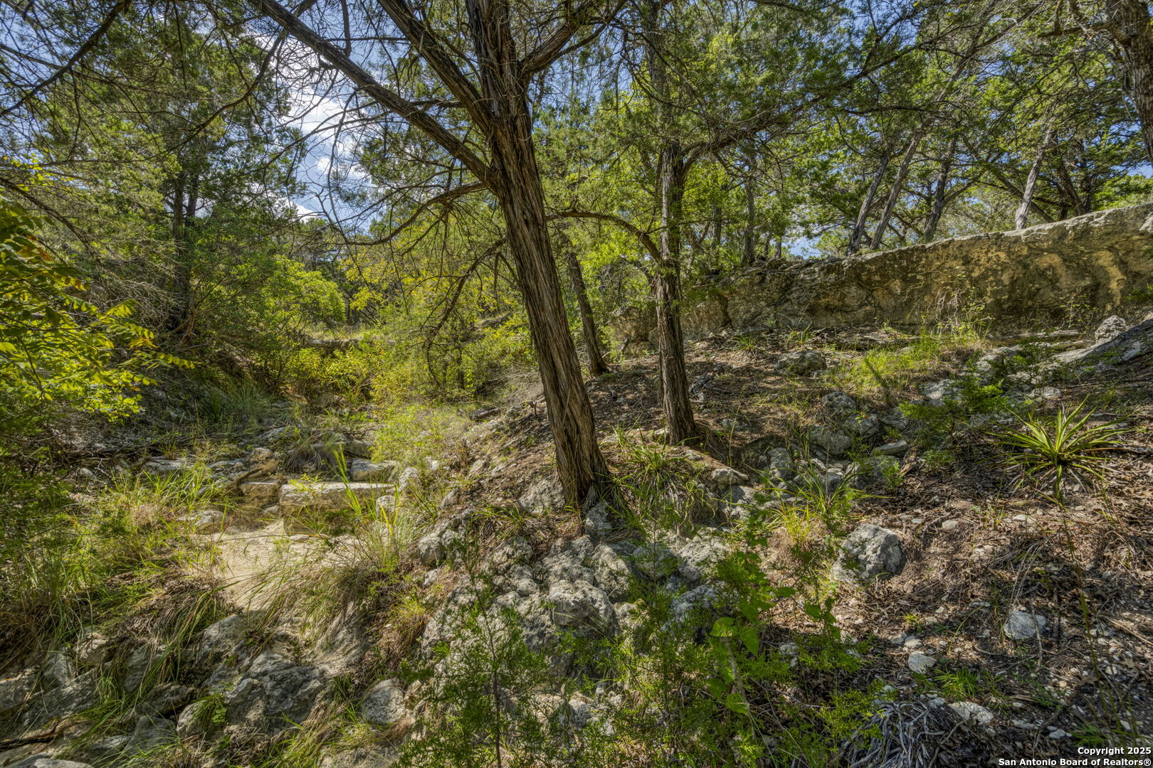 305 Spanish Pass Road Boerne, TX 78006 - Photo 53 of 105 a view of a yard with plants and trees