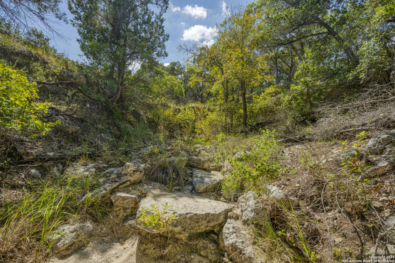 305 Spanish Pass Road Boerne, TX 78006 - Photo 54 of 105 a view of a yard with plants and large trees