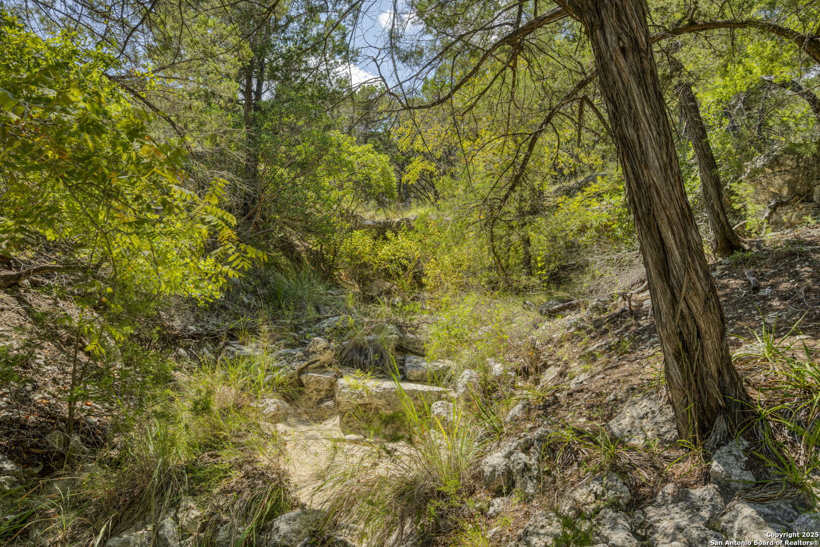 305 Spanish Pass Road Boerne, TX 78006 - Photo 54 of 105