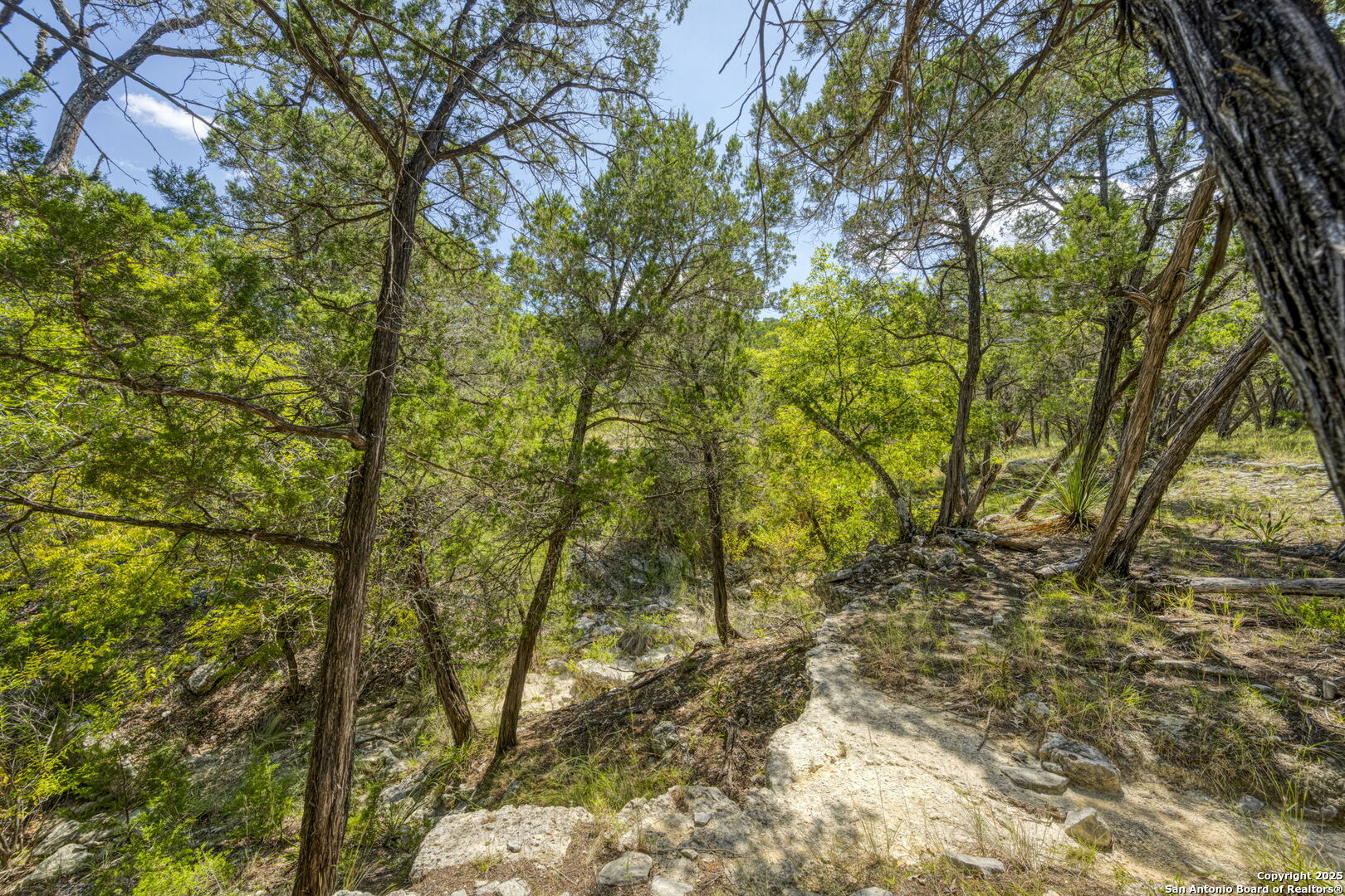 305 Spanish Pass Road Boerne, TX 78006 - Photo 56 of 105 a view of forest