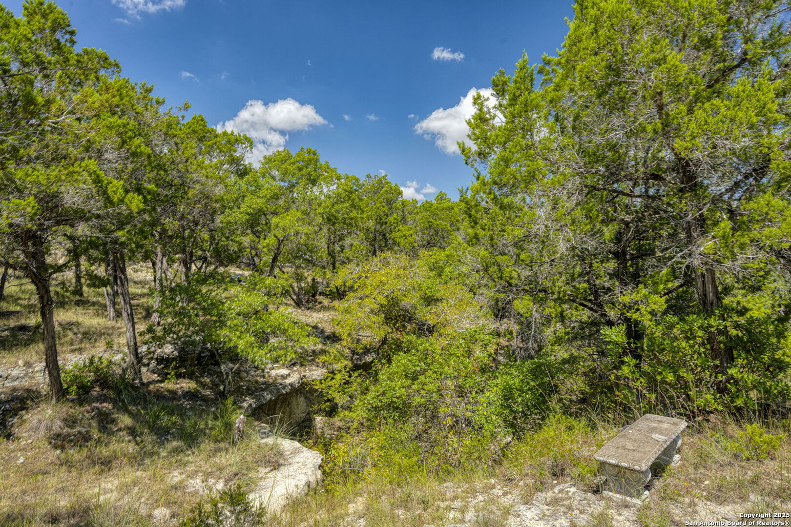 305 Spanish Pass Road Boerne, TX 78006 - Photo 57 of 105 a view of a garden