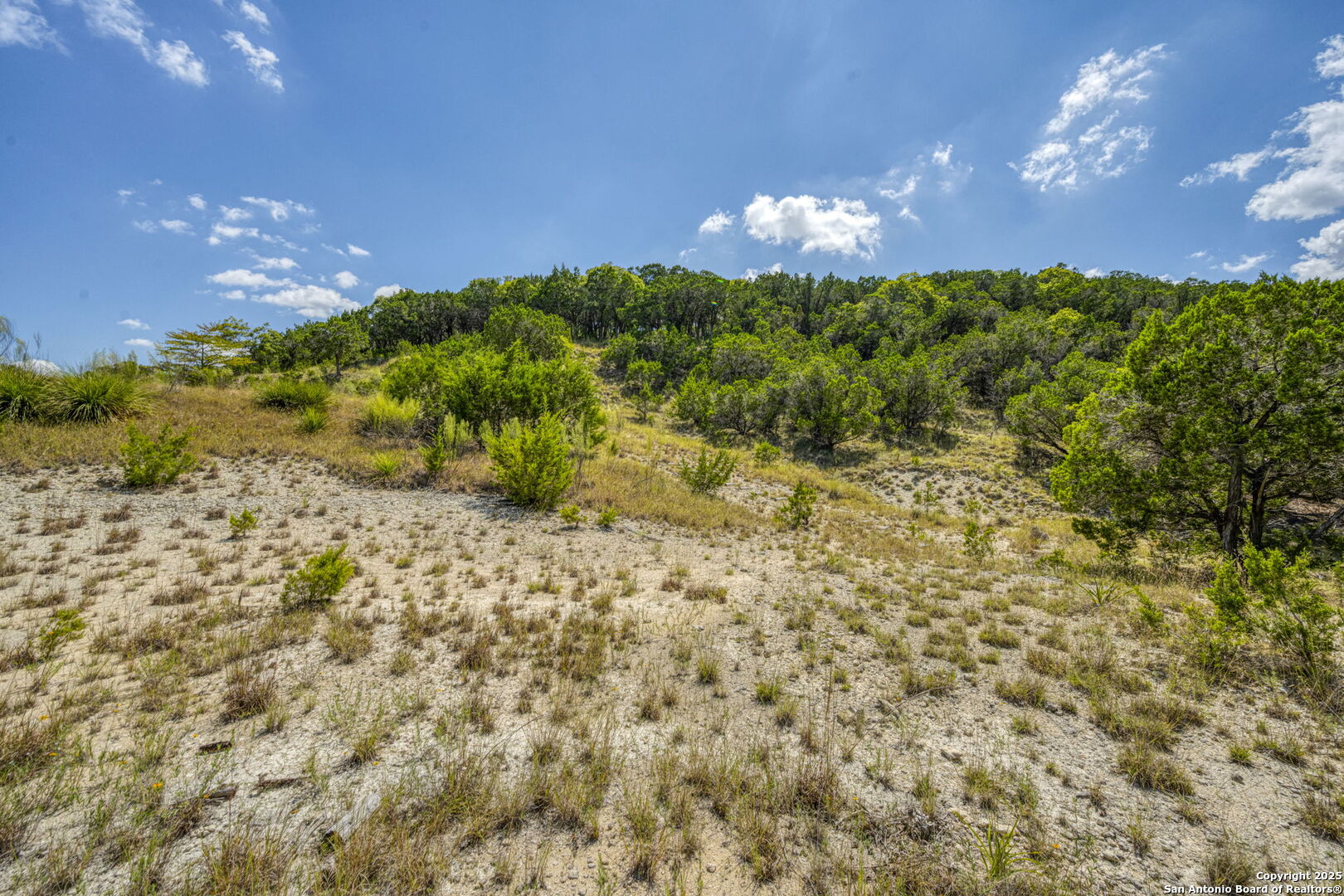 305 Spanish Pass Road Boerne, TX 78006 - Photo 59 of 105