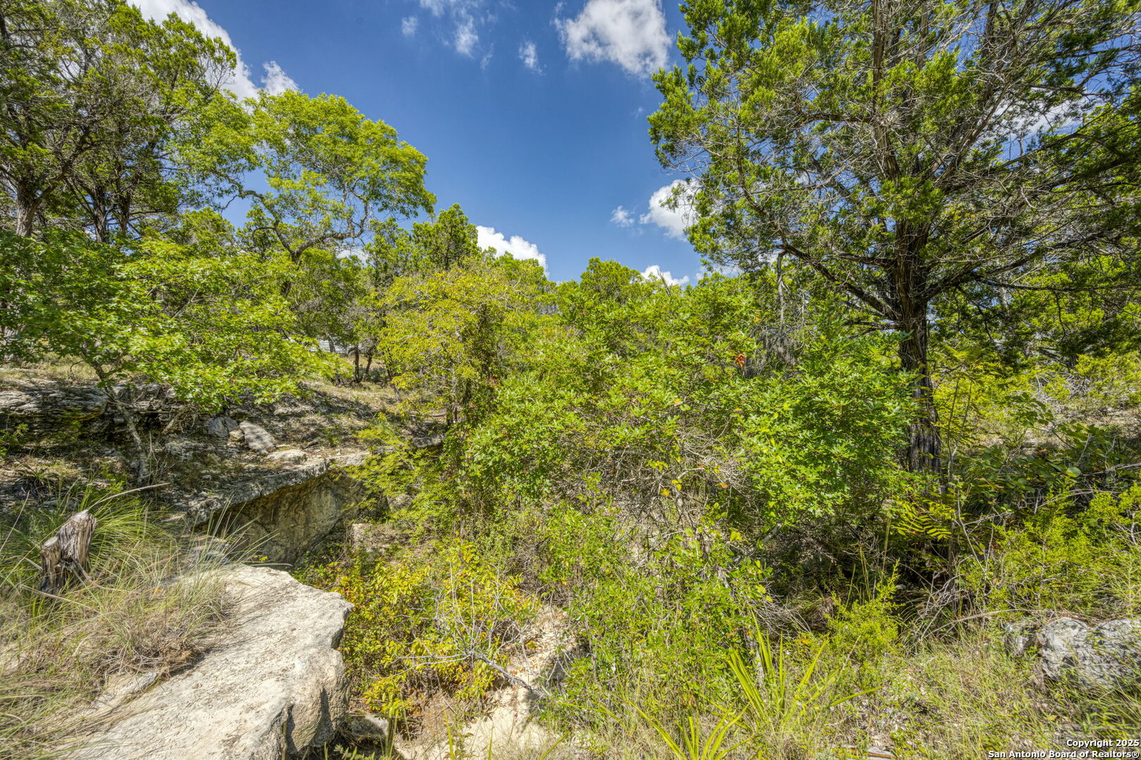 305 Spanish Pass Road Boerne, TX 78006 - Photo 60 of 105