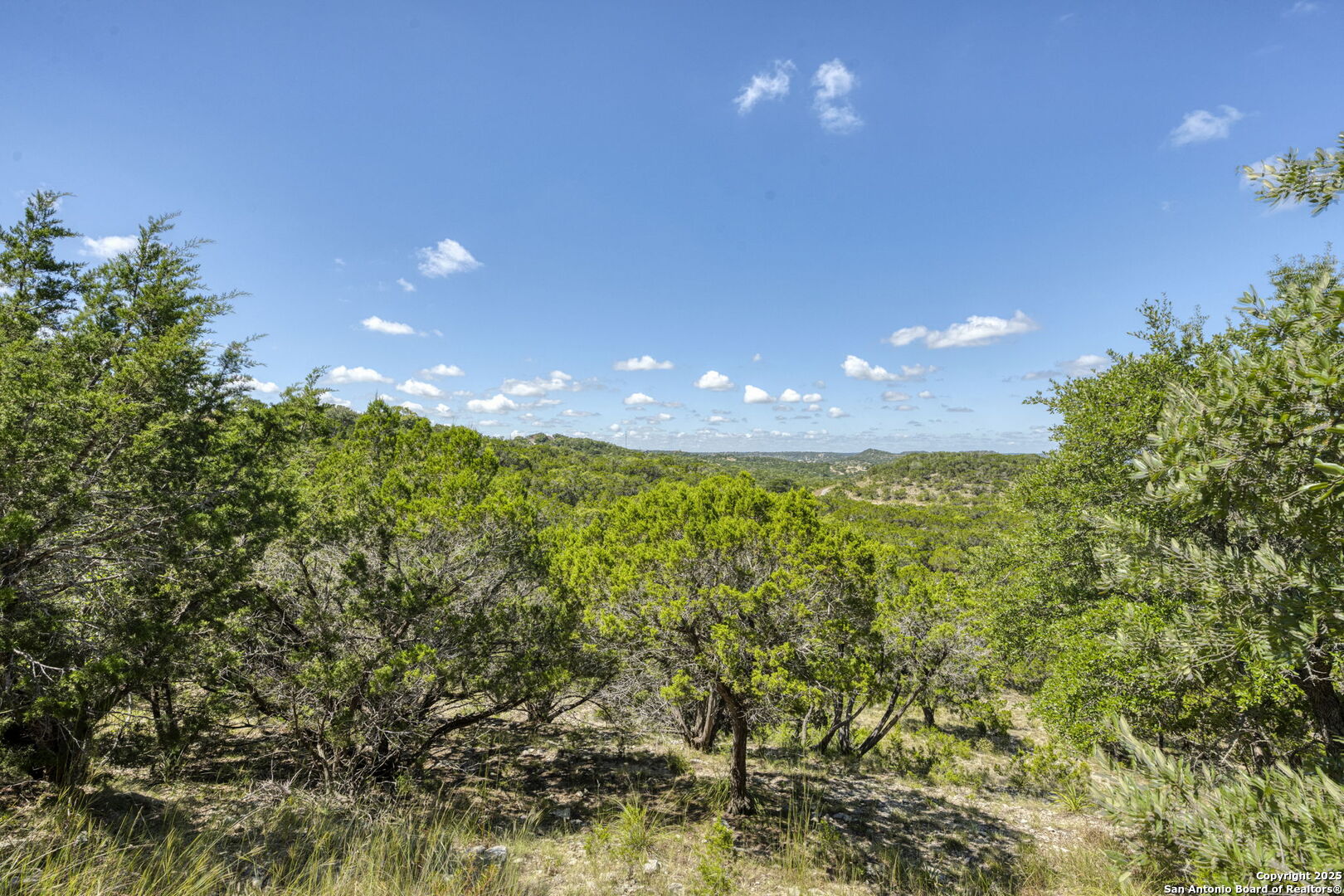 305 Spanish Pass Road Boerne, TX 78006 - Photo 6 of 105 a view of an outdoor space and a yard