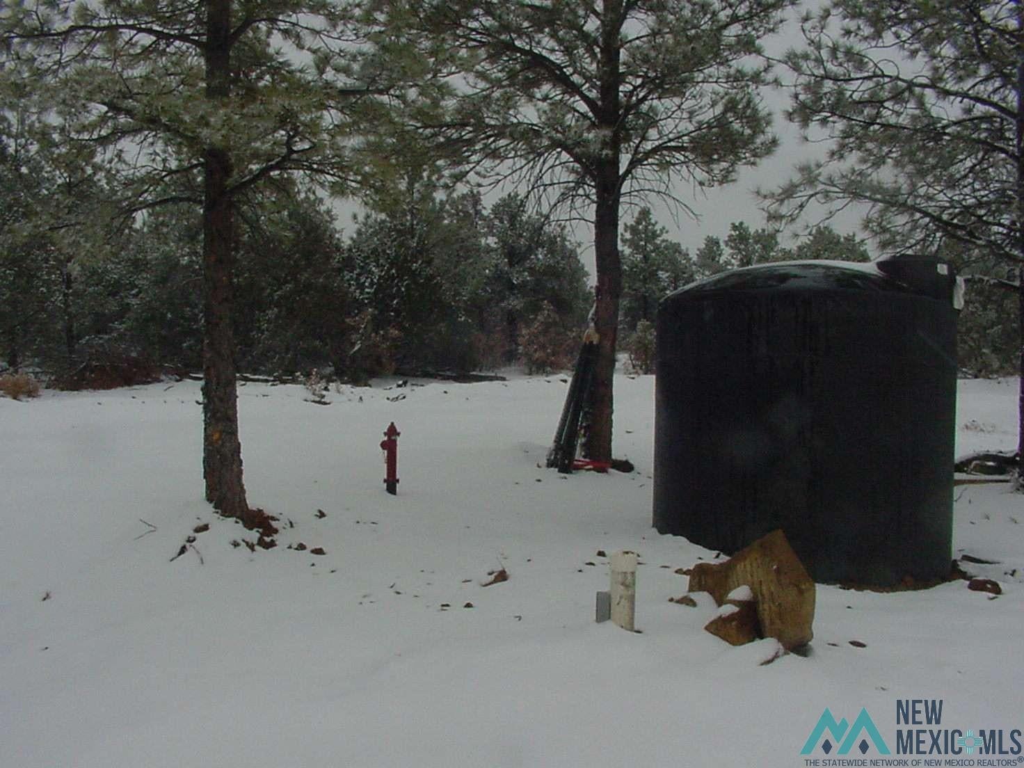 32 Dan Gatlin Road Pie Town, NM 87827 - Photo 43 of 43 View of yard layered in snow