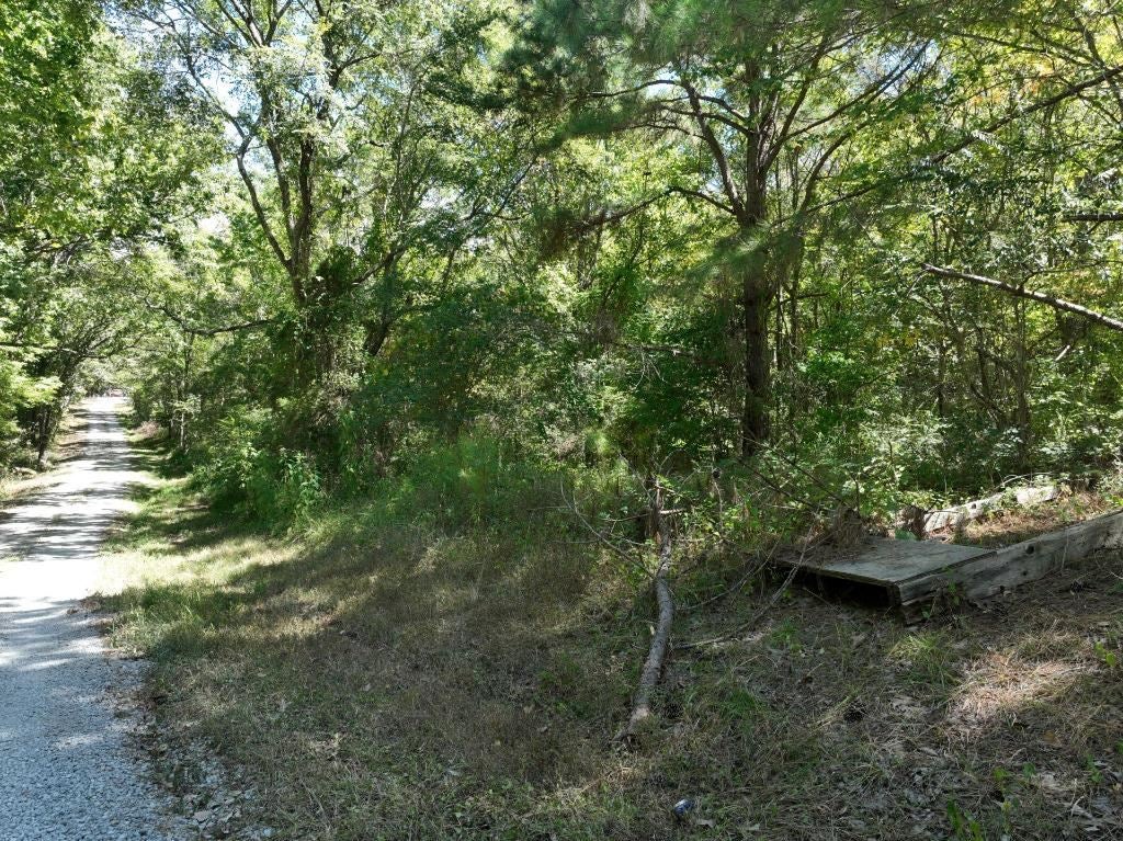 0 Pine Street Dunmor, KY 42339 - Photo 5 of 17 Gallery Image 5