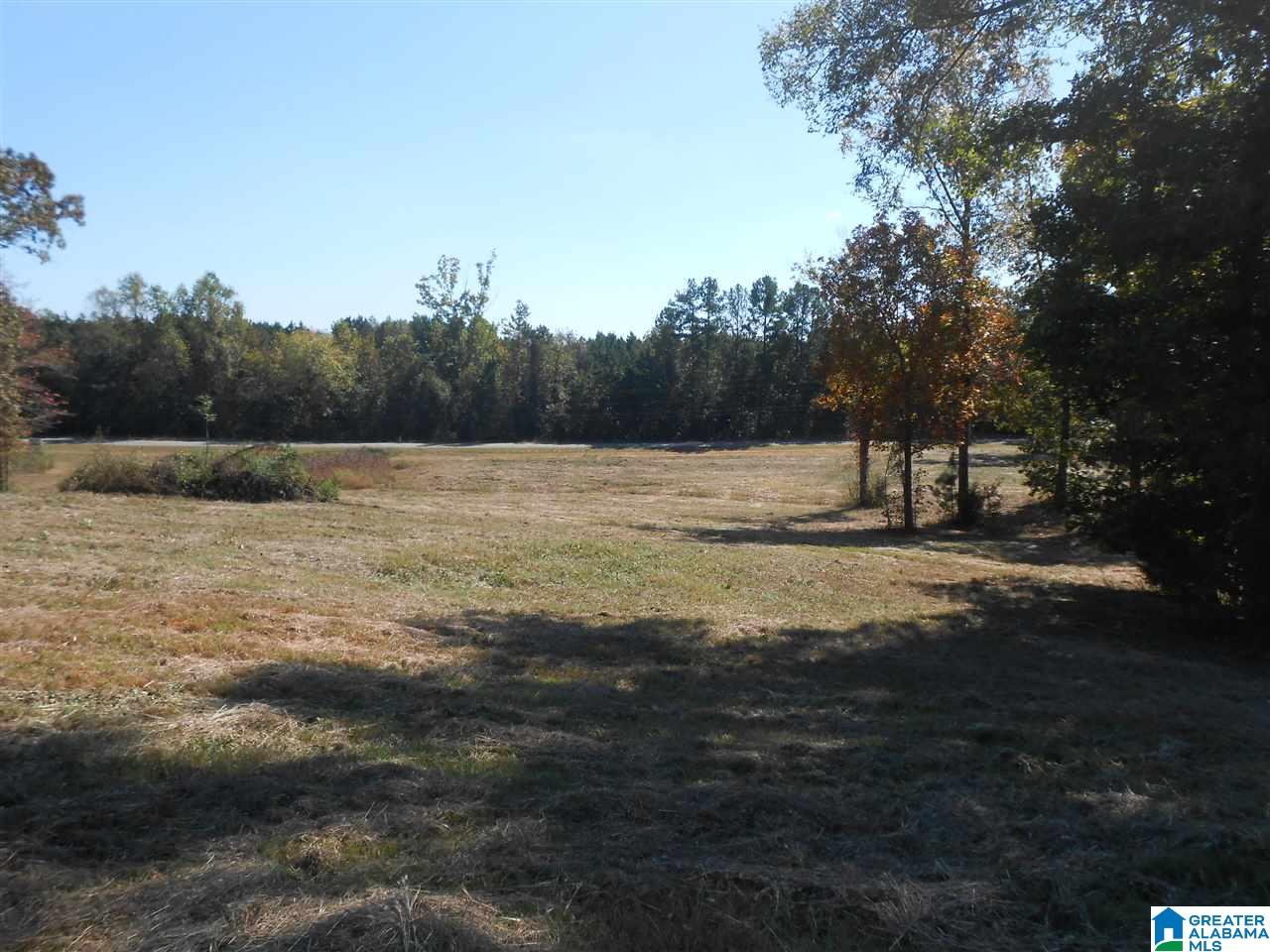 11 Highway Steele Al Steele, AL 35987 - Photo 1 of 8