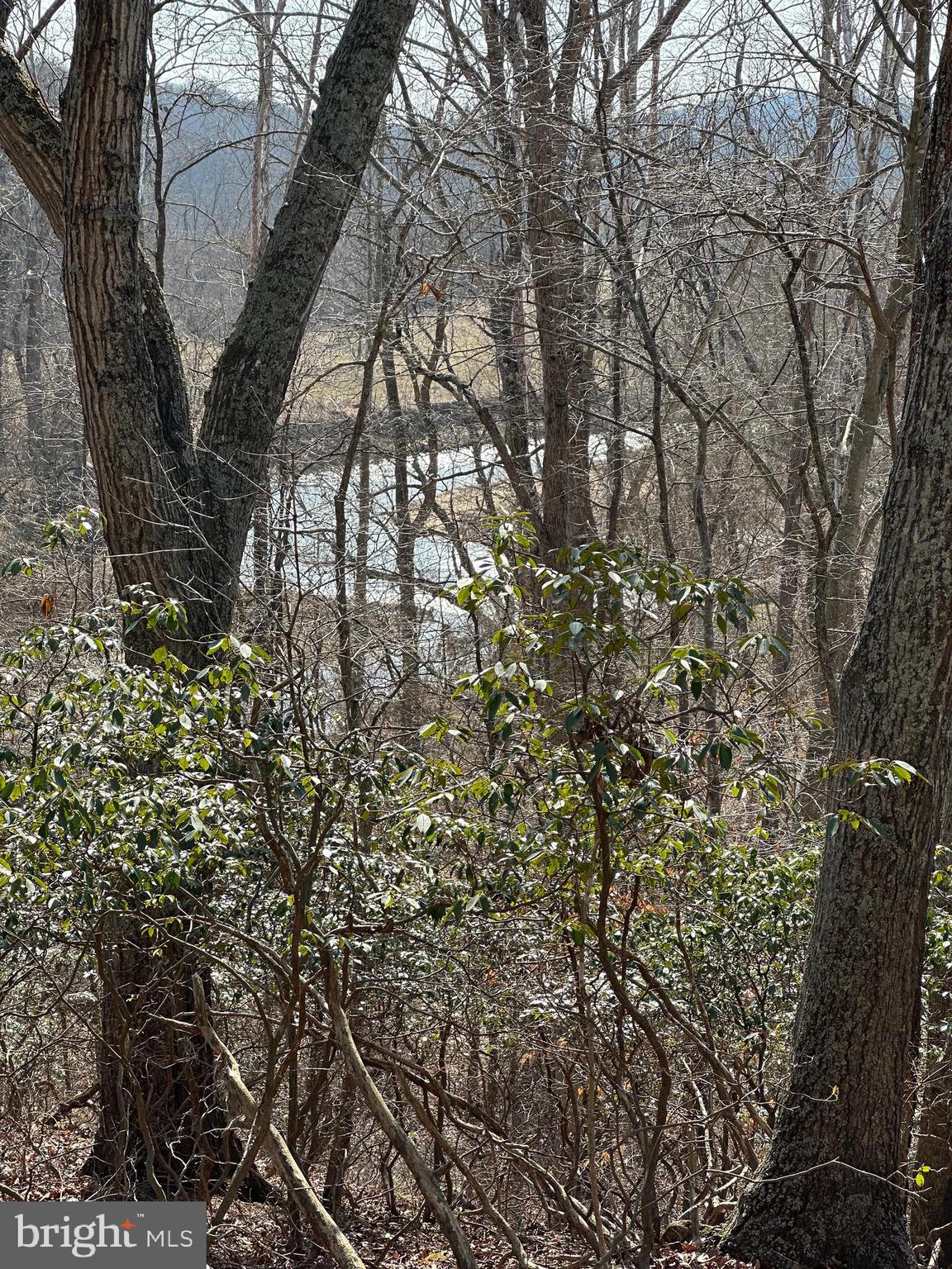 262 Castleton Ford Road Castleton, VA 22716 - Photo 3 of 10 River View