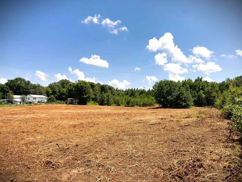 0 Marcrom Road Morrison, TN 37357 - Photo 8 of 26