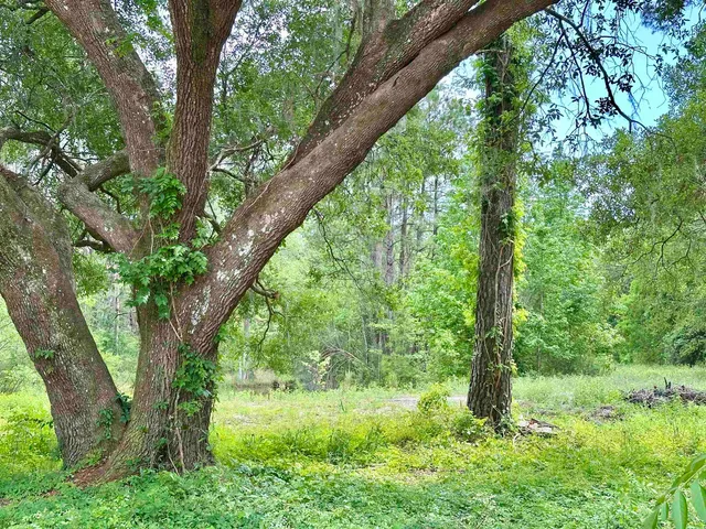 $474,000 | 9571 Old St Augustine Road, Tallahassee, FL 32311