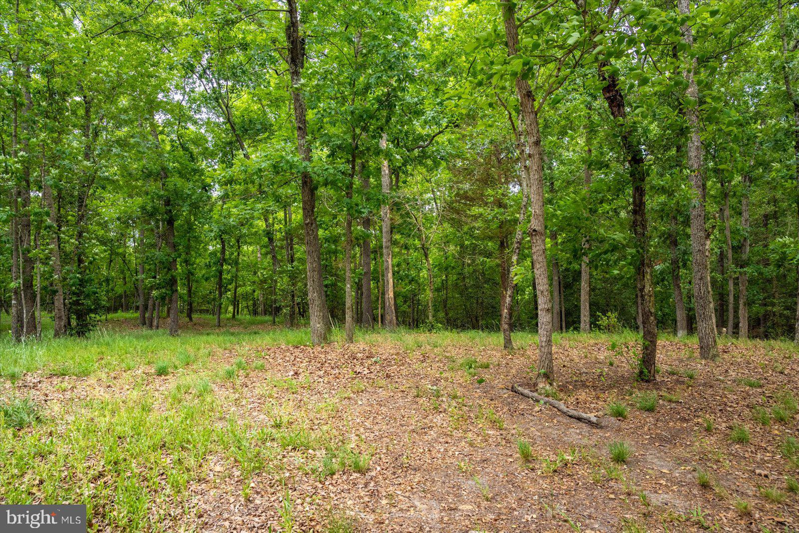5113 River Road Hurlock, MD 21643 - Photo 6 of 54