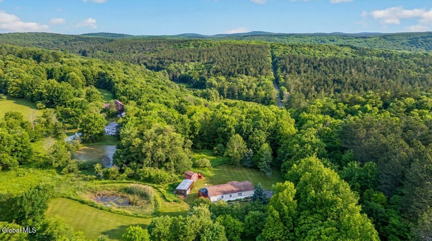 171 Rossman Hill Road Summit, NY 12175 - Photo 3 of 54 171-Rossman-Hill-Rd-Summit-Exterior (19)