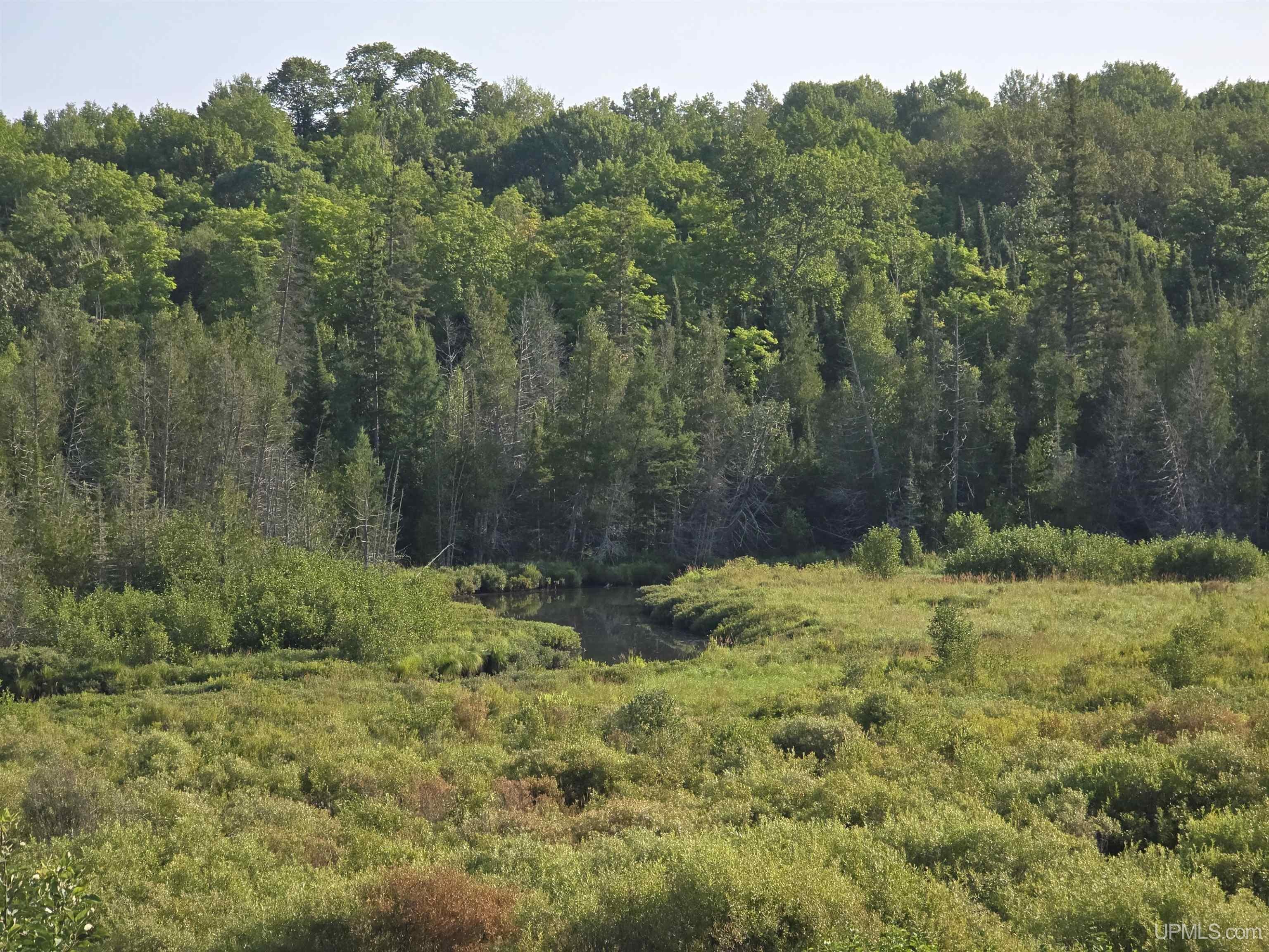 3054 Country Lane Rd Road Eben Junction, MI 49825 - Photo 19 of 78 Gallery Image 19