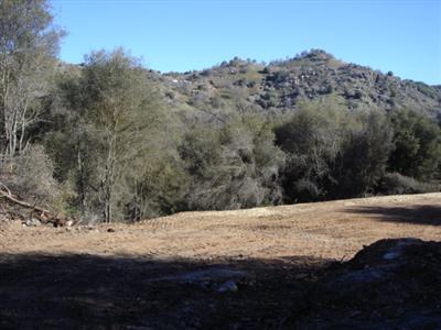 0 Chuckwagon Road Squaw Valley, CA 93675 - Photo 1 of 5 Gallery Image 1