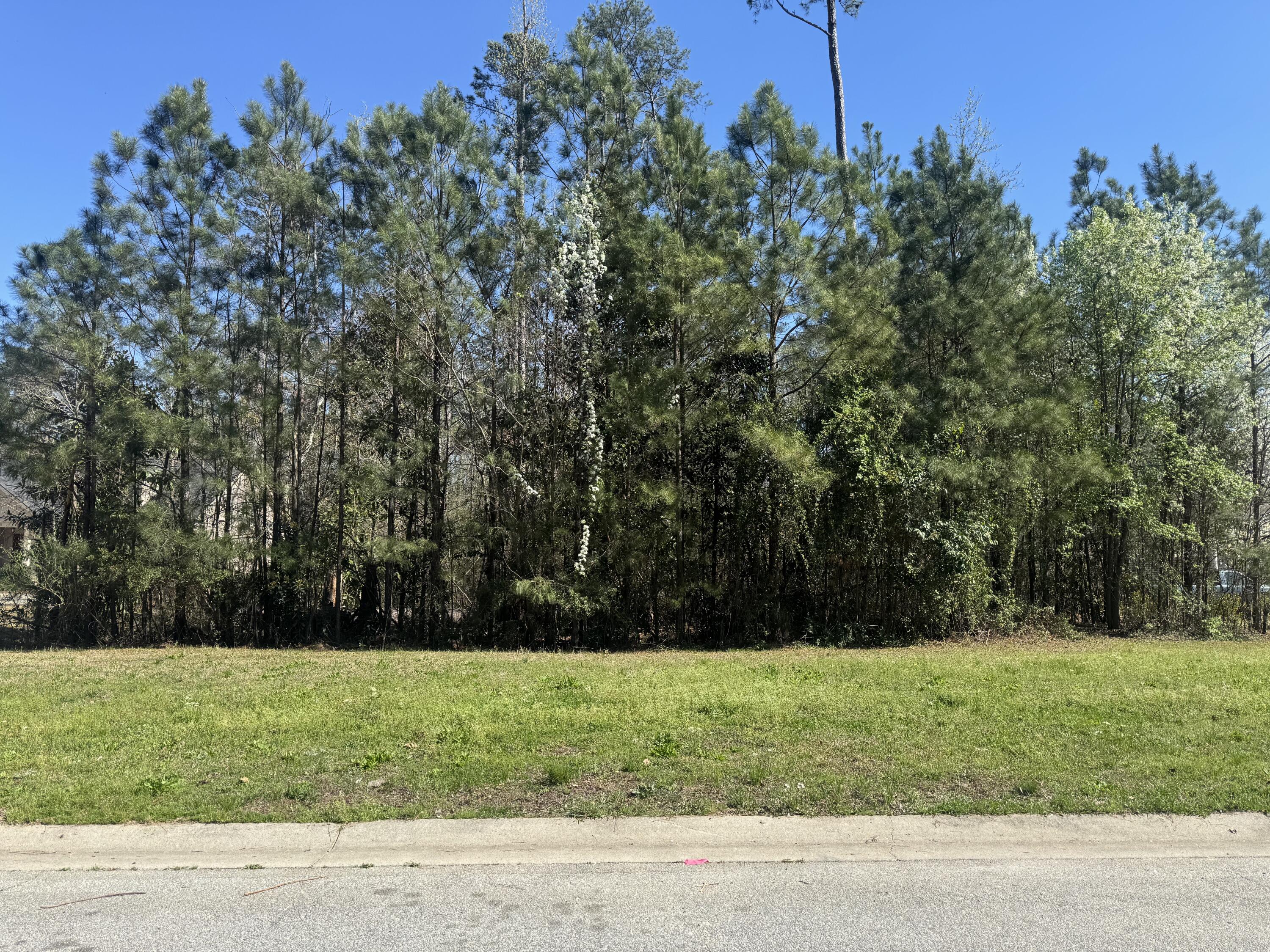3316 Gwinns Lane Augusta, GA 30909 - Photo 1 of 1 3316 Gwinns Lane