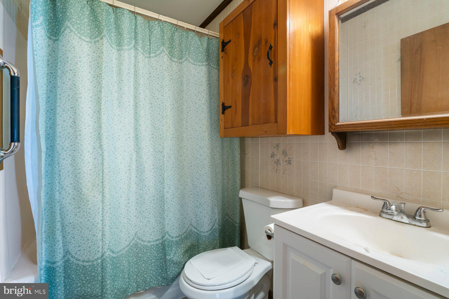 23 Commerce Street Taneytown, MD 21787 - Photo 11 of 18 a bathroom with a sink a toilet and shower curtain