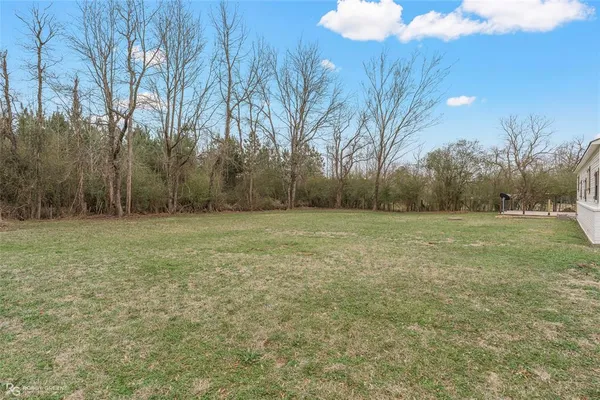 a view of a forest with a lake