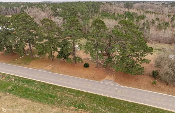 a view of a pathway both side of tree