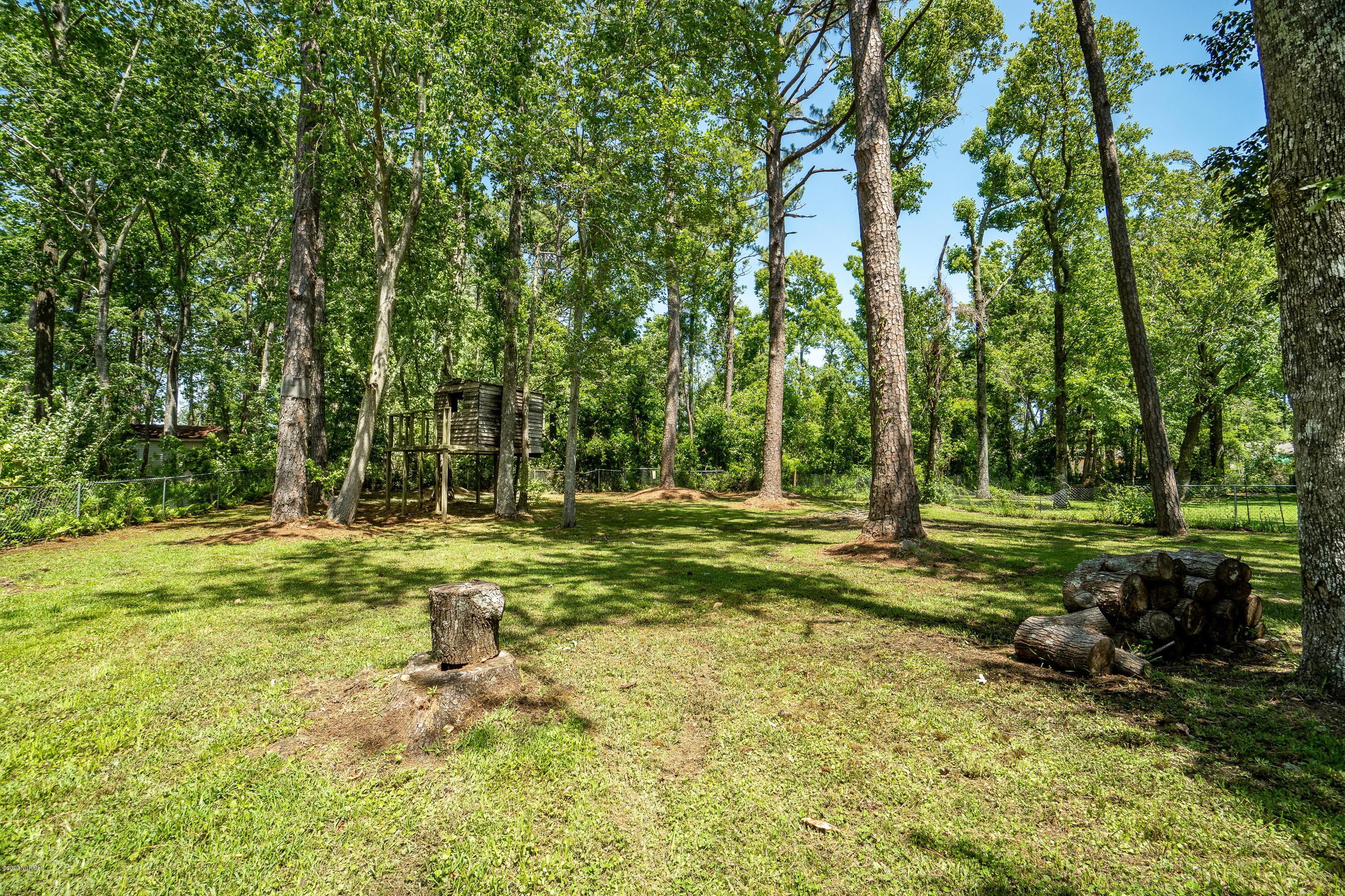 704 Friendly Road Morehead City, NC 28557 - Photo 36 of 37 Back Yard View