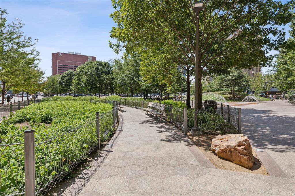 1200 Main Street, Unit 2302 Dallas, TX 75202 - Photo 21 of 22 a view of a park with large trees