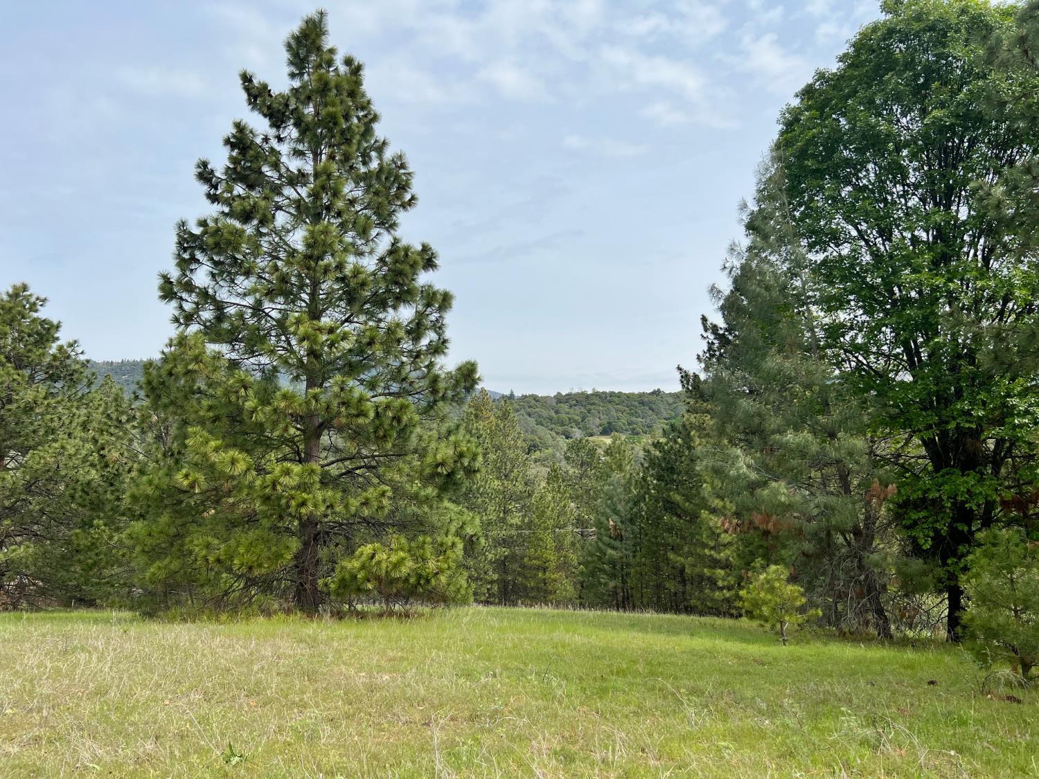 0 Watt Road Ahwahnee, CA 95338 - Photo 1 of 16