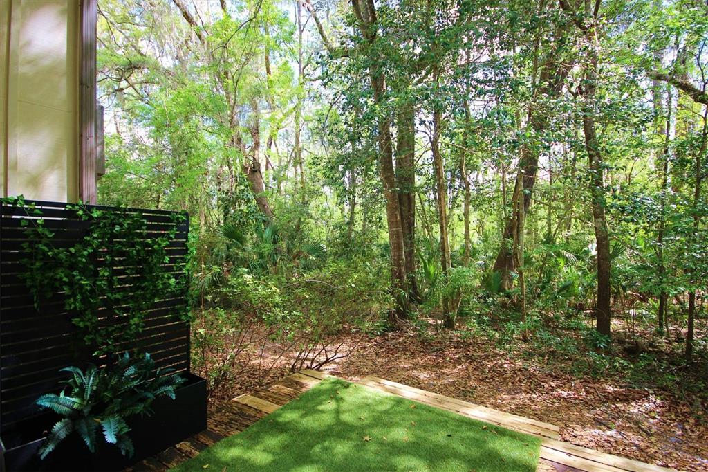315 Southwest 54th Drive Gainesville, FL 32607 - Photo 23 of 36 a view of backyard with green space