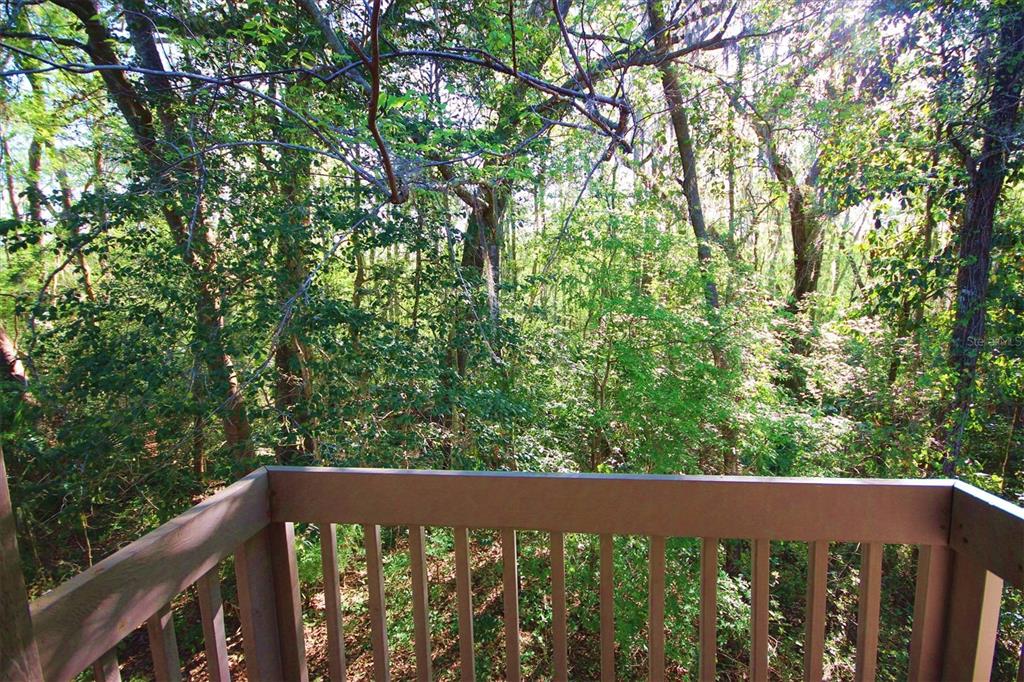 315 Southwest 54th Drive Gainesville, FL 32607 - Photo 27 of 36 a view of a wooden fence and trees