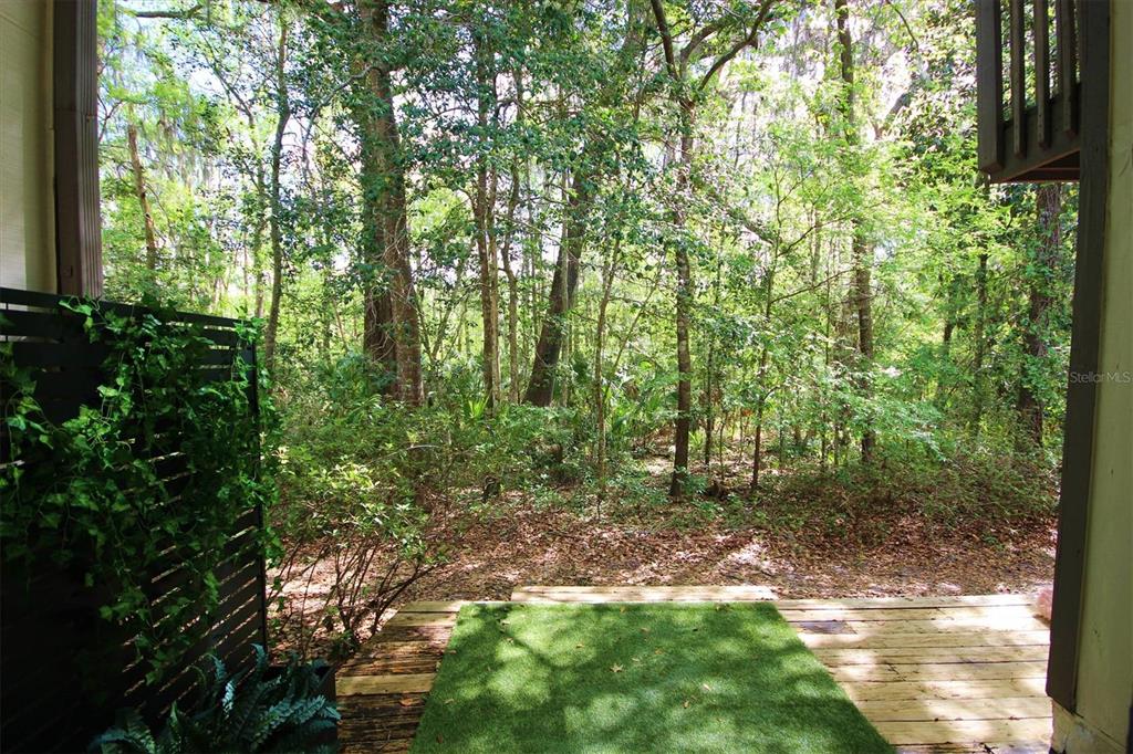 315 Southwest 54th Drive Gainesville, FL 32607 - Photo 28 of 36 a backyard of a house with lots of green space
