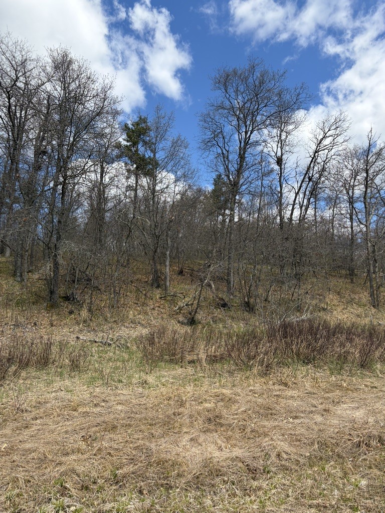 Lot 2 Sleepy Eye Road Minong, WI 54859 - Photo 4 of 10