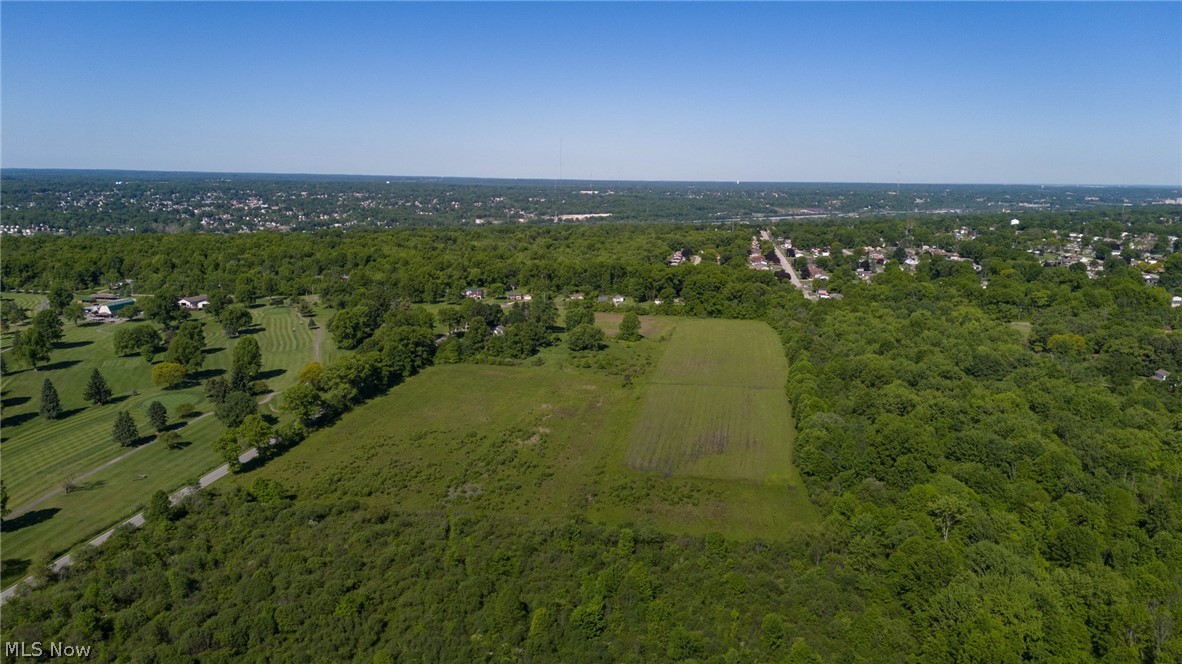 Villa Marie Road Lowellville, OH 44436 - Photo 4 of 13