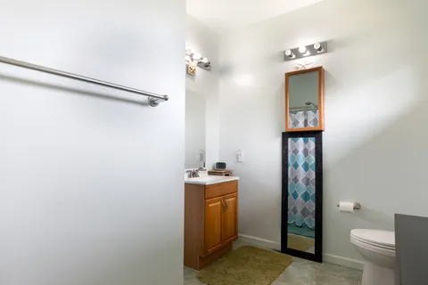 a view of a garden with plants and trees