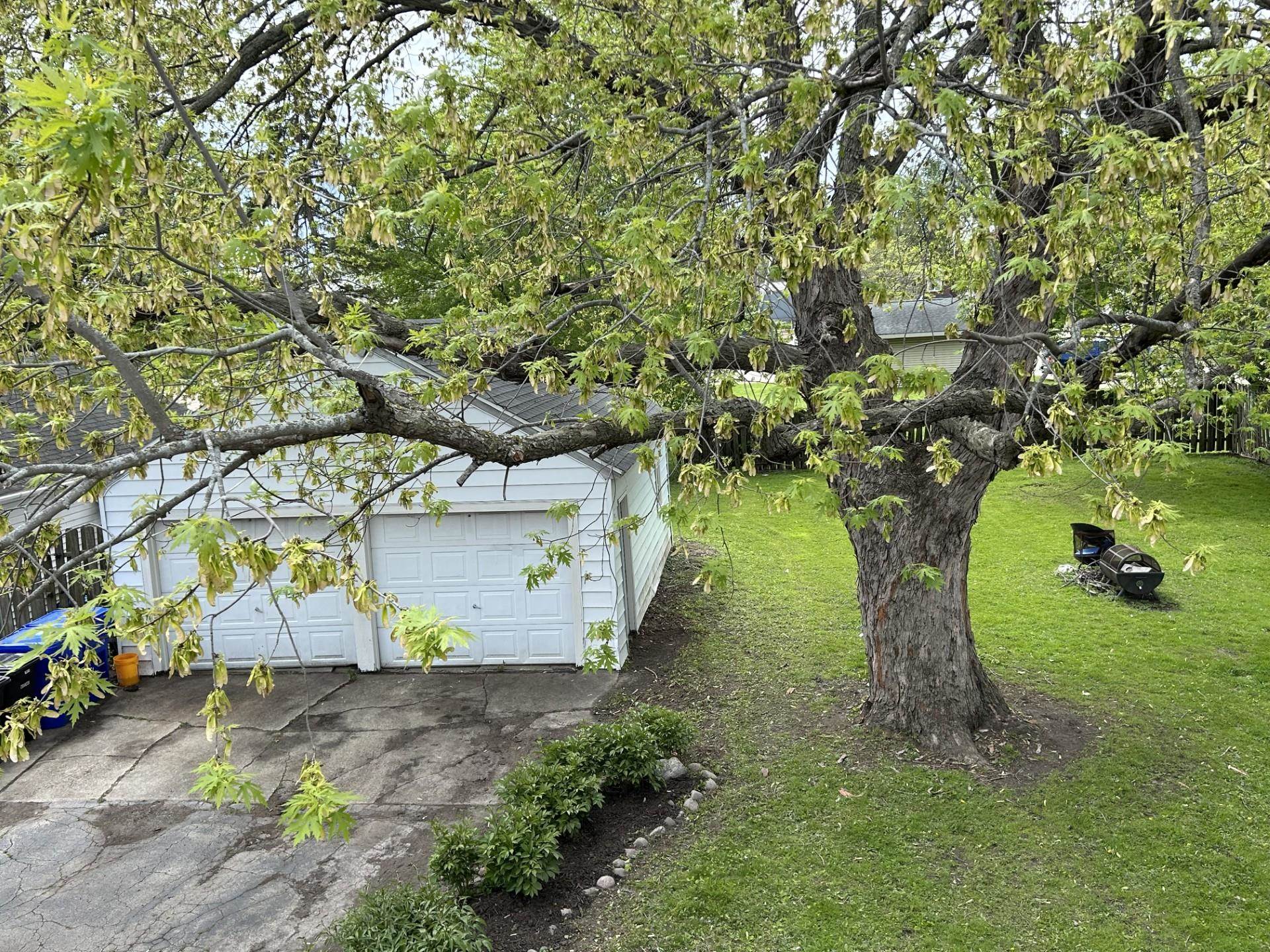 551 North State Street Appleton, WI 54911 - Photo 15 of 17