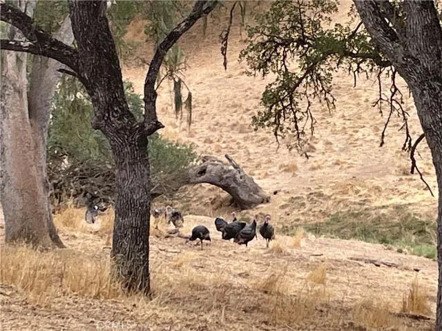 $85,000 | 5003 Pretty Doe Lane, Paso Robles, CA 93446