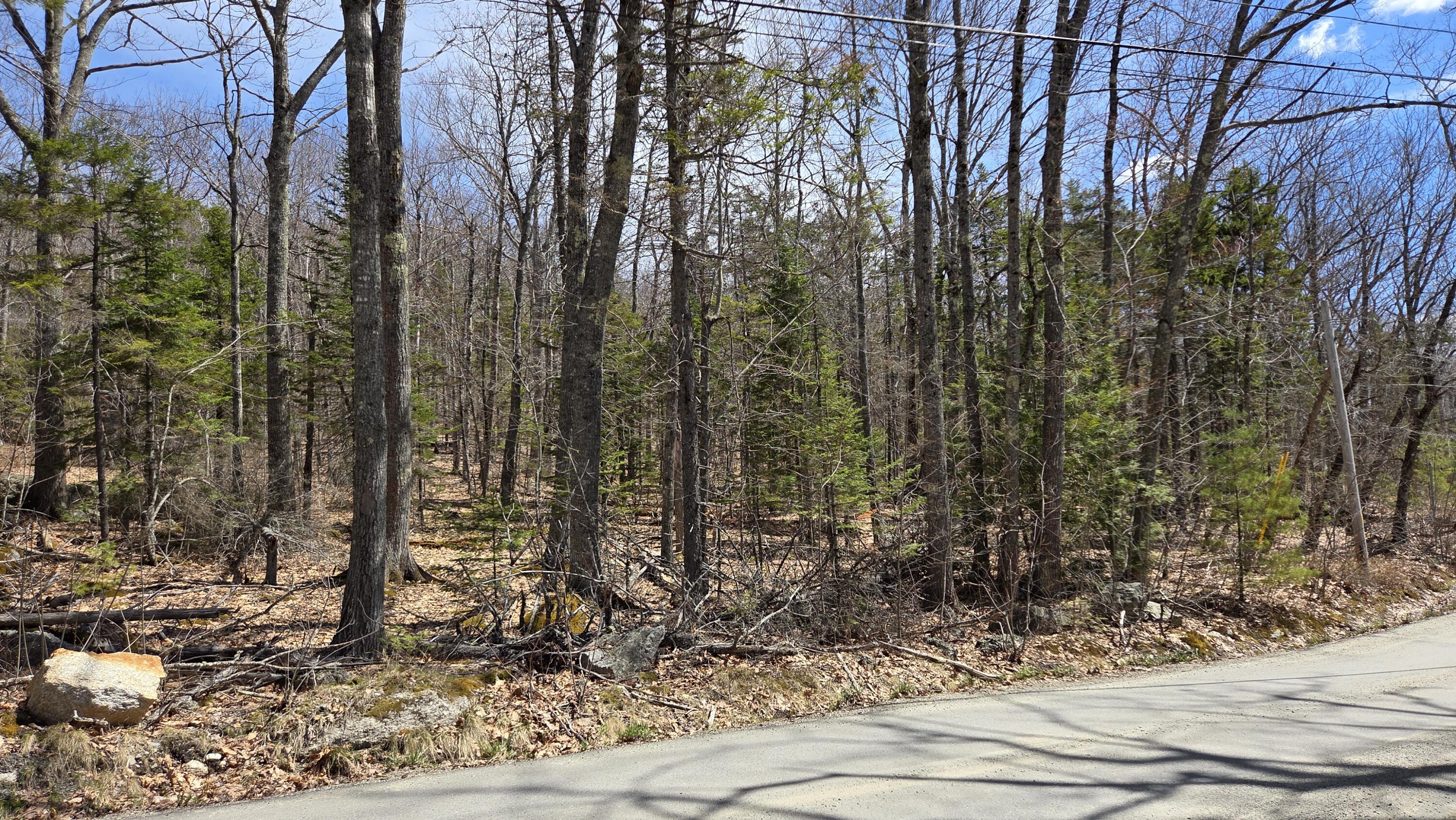 30-039 Sunset Road Dedham, ME 04429 - Photo 1 of 2 7368