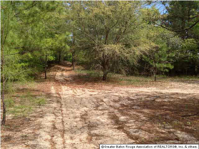 0 Greenwell Springs Road Clinton, LA 70722 - Photo 1 of 23 Gallery Image 1