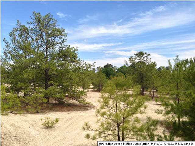 0 Greenwell Springs Road Clinton, LA 70722 - Photo 11 of 23 Gallery Image 11